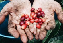 Fonte da imagem: Freeapik.com Premium.