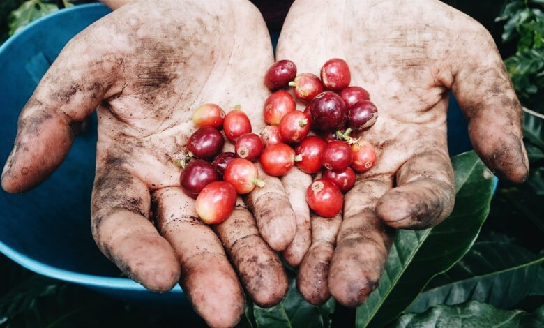 Fonte da imagem: Freeapik.com Premium.