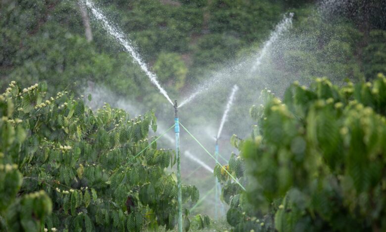 Fonte da imagem: Freeapik.com Premium.