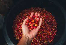 Fonte da imagem: Freeapik.com Premium.