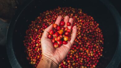 Fonte da imagem: Freeapik.com Premium.