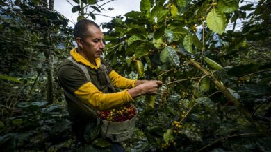 Fonte da imagem: Freeapik.com Premium.