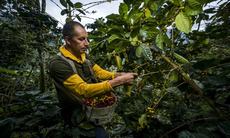 Fonte da imagem: Freeapik.com Premium.