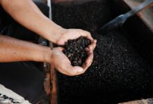 Fonte da imagem: Freeapik.com Premium.