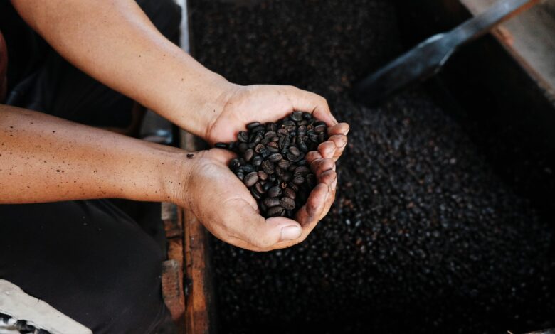 Fonte da imagem: Freeapik.com Premium.