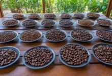 Fonte da imagem: Freeapik.com Premium.