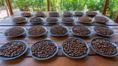 Fonte da imagem: Freeapik.com Premium.