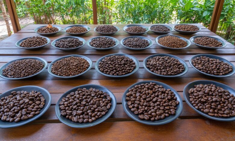 Fonte da imagem: Freeapik.com Premium.