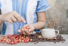 Fonte da imagem: Freeapik.com Premium.