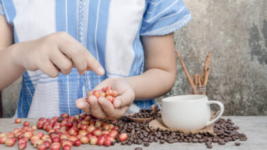 Fonte da imagem: Freeapik.com Premium.